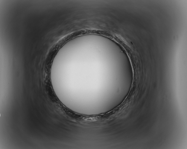 X0000085221303200703090819