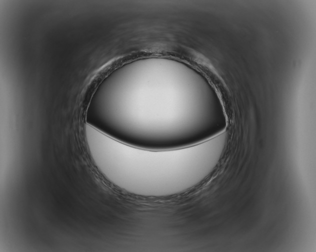 X0000085221304200703090819