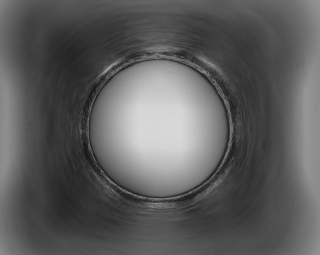 X0000085221305200703090819