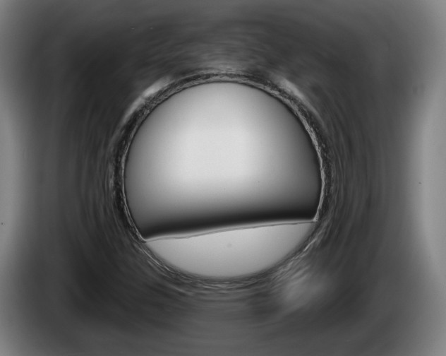 X0000085221307200703090819