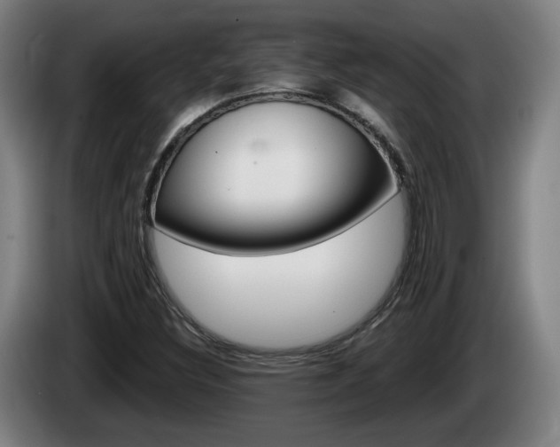 X0000085221308200703090819
