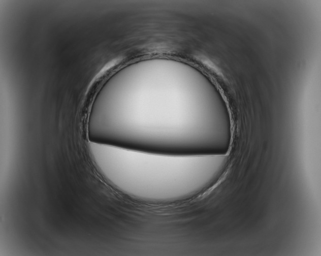X0000085221309200703090819