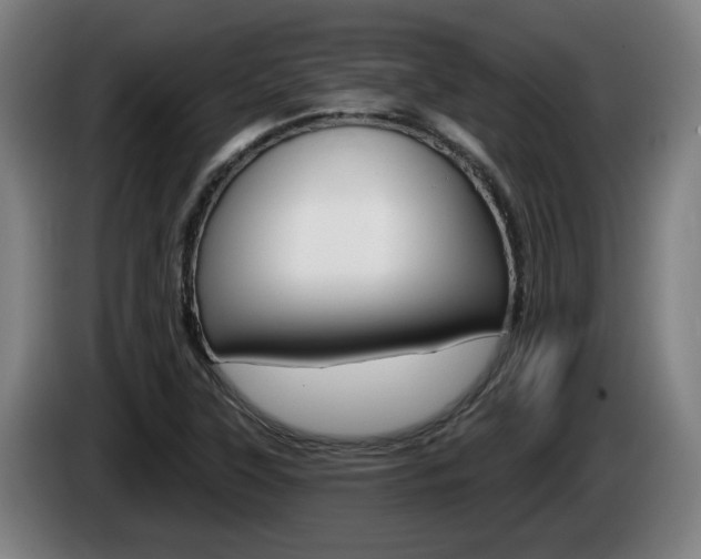 X0000085221315200703090819