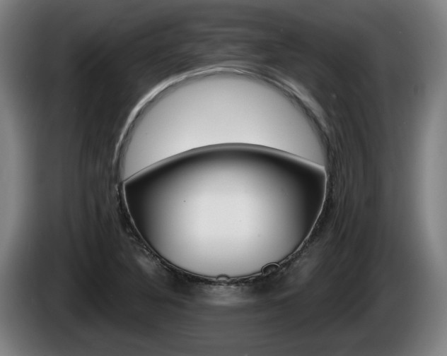 X0000085221316200703090819