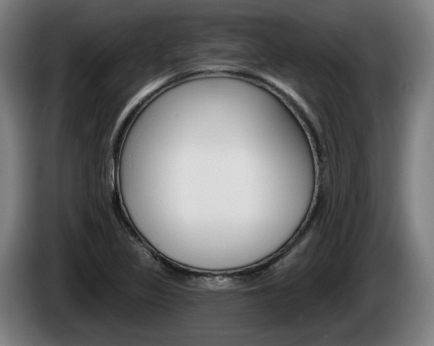 X0000085221317200703090819