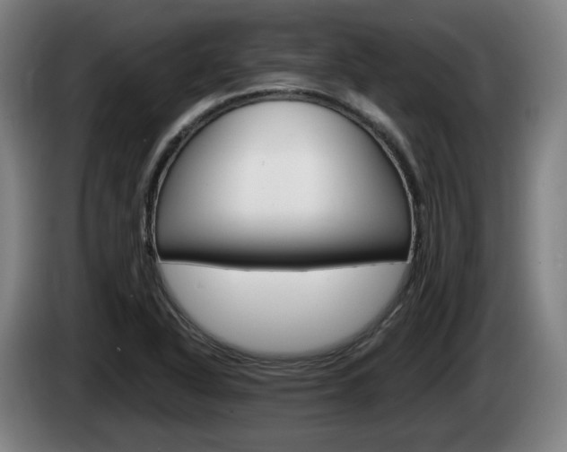 X0000085221318200703090819