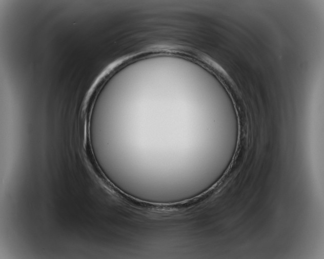 X0000085221323200703090819