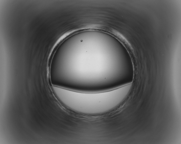 X0000085221324200703090819