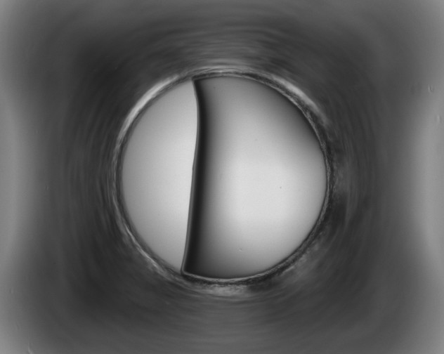 X0000085221325200703090819