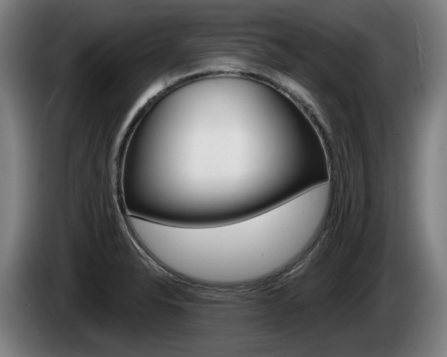X0000085221326200703090819