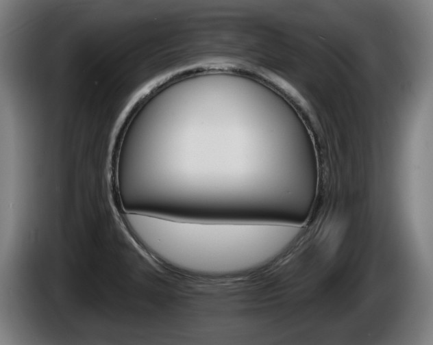 X0000085221327200703090819