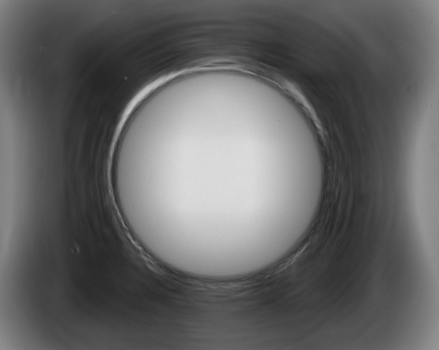 X0000085221328200703090820