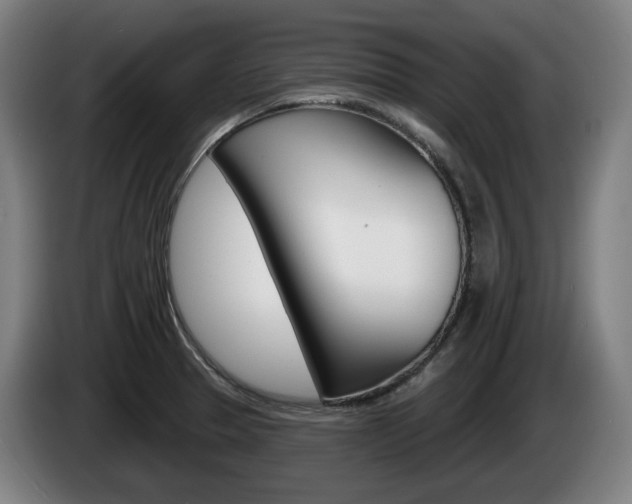 X0000085221329200703090820