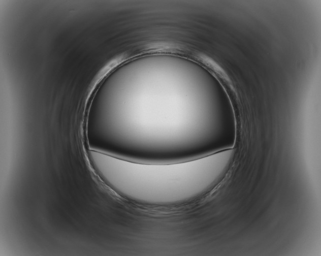 X0000085221330200703090820