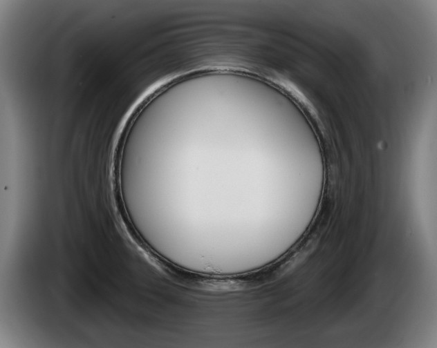 X0000085221331200703090820