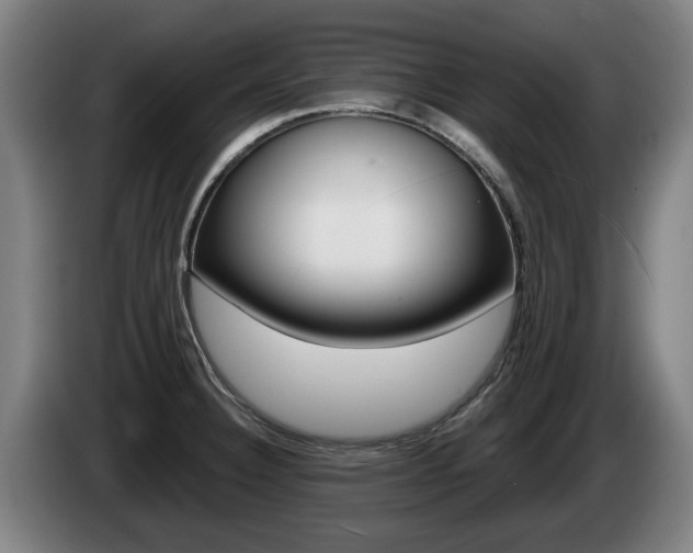 X0000085221332200703090820
