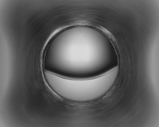 X0000085221334200703090820