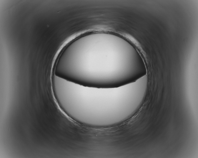 X0000085221335200703090820