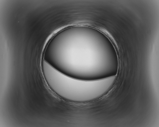 X0000085221336200703090820