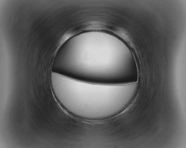 X0000085221337200703090820
