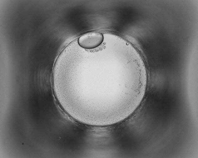 X0000085221338200703090820