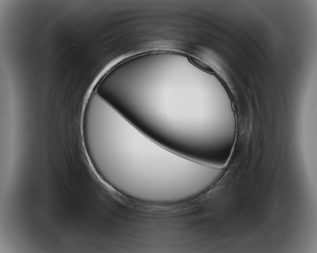 X0000085221339200703090820