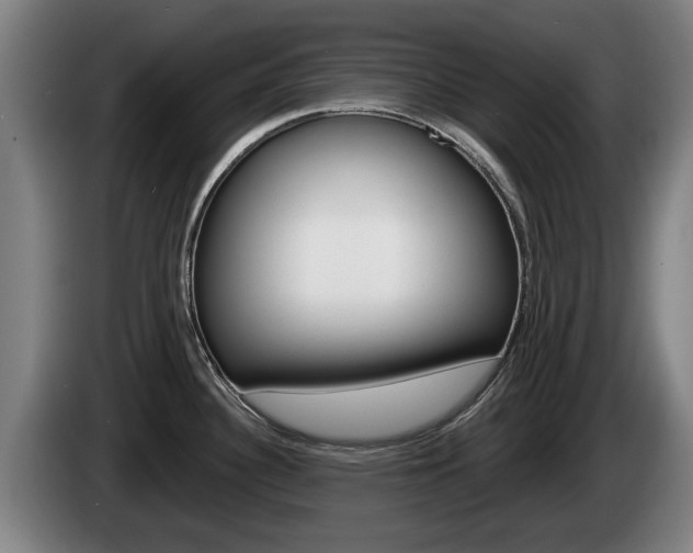 X0000085221340200703090820
