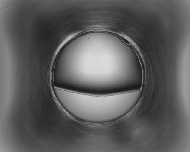X0000085221341200703090820
