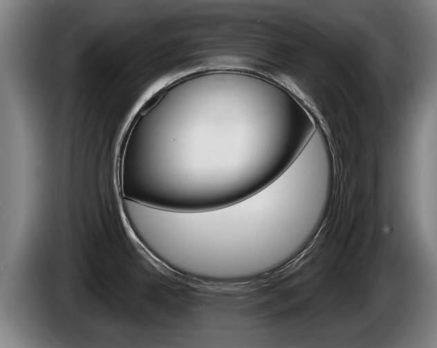 X0000085221342200703090820