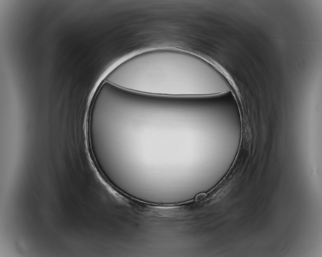 X0000085221343200703090820
