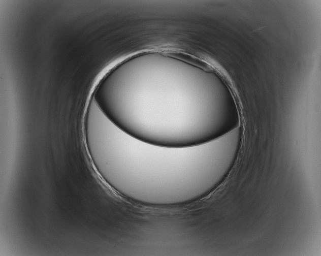 X0000085221344200703090820