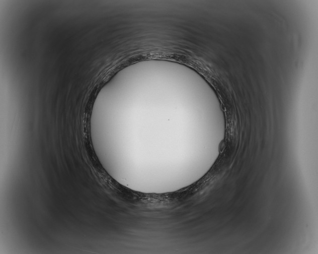 X0000085221346200703090819