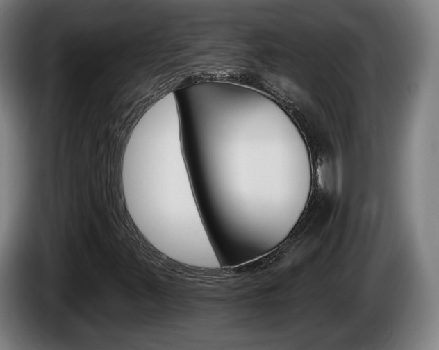 X0000085221347200703090819