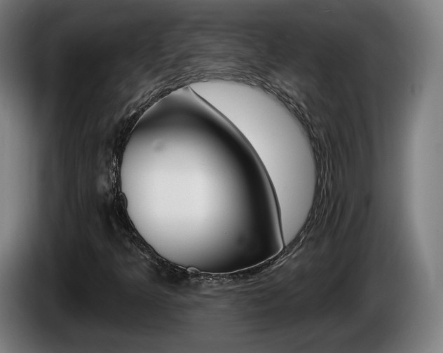 X0000085221349200703090819