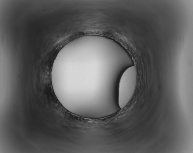 X0000085221350200703090819