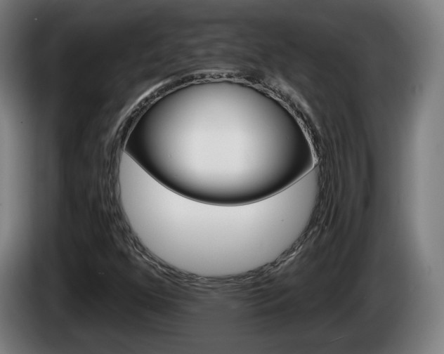 X0000085221352200703090819