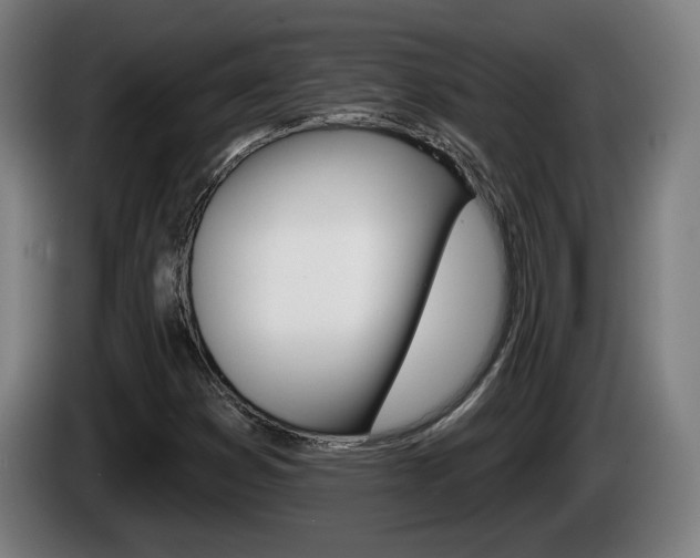 X0000085221353200703090819