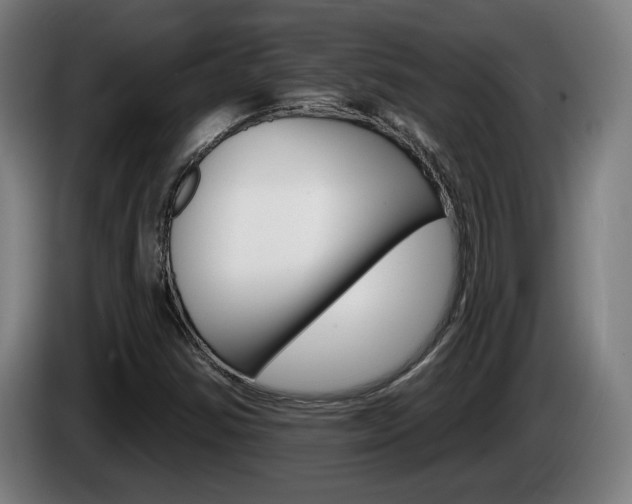 X0000085221354200703090819