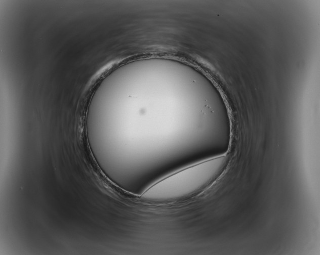 X0000085221355200703090819