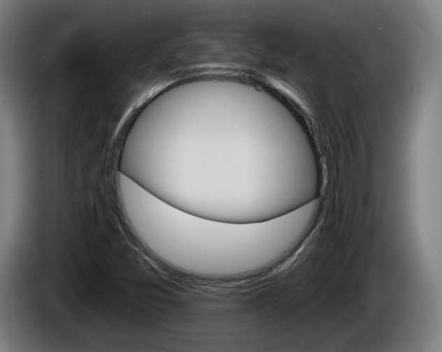 X0000085221357200703090819