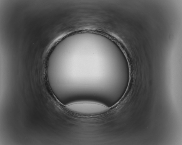 X0000085221359200703090819