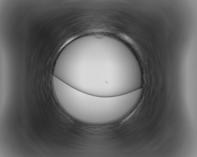 X0000085221361200703090819