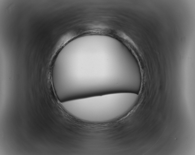 X0000085221362200703090819
