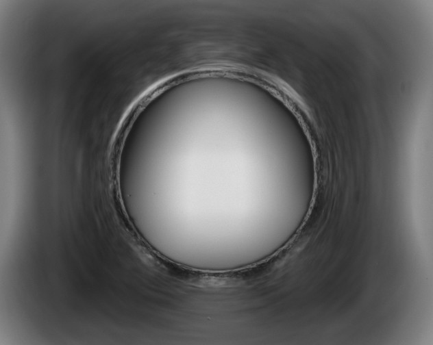 X0000085221364200703090819