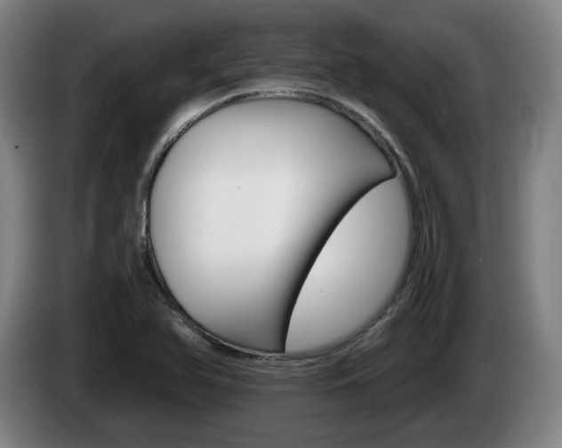 X0000085221366200703090819