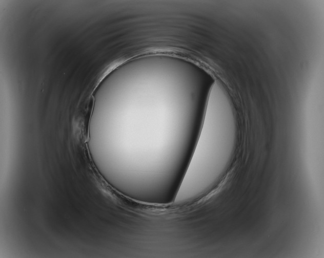 X0000085221369200703090819