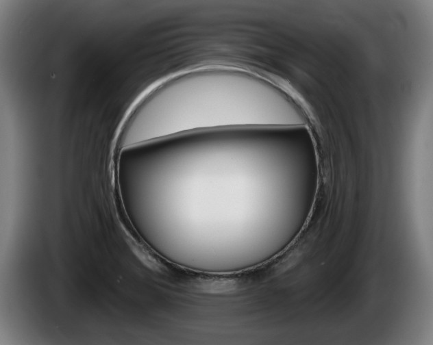 X0000085221372200703090819