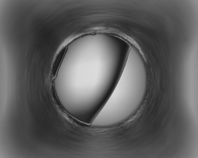 X0000085221373200703090819