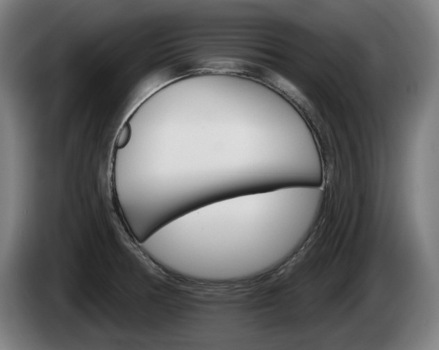 X0000085221378200703090819