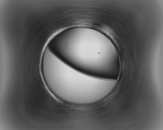X0000085221379200703090819